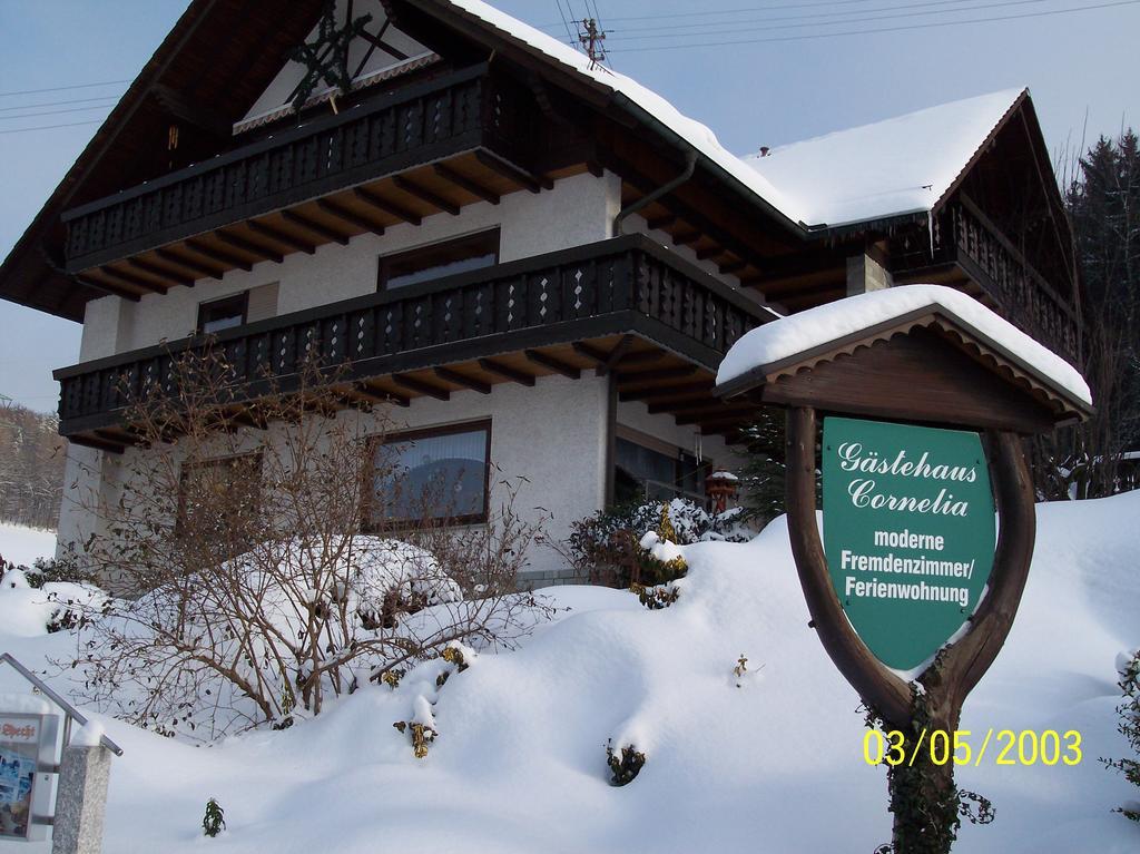 Gaestehaus Cornelia Wildensee المظهر الخارجي الصورة